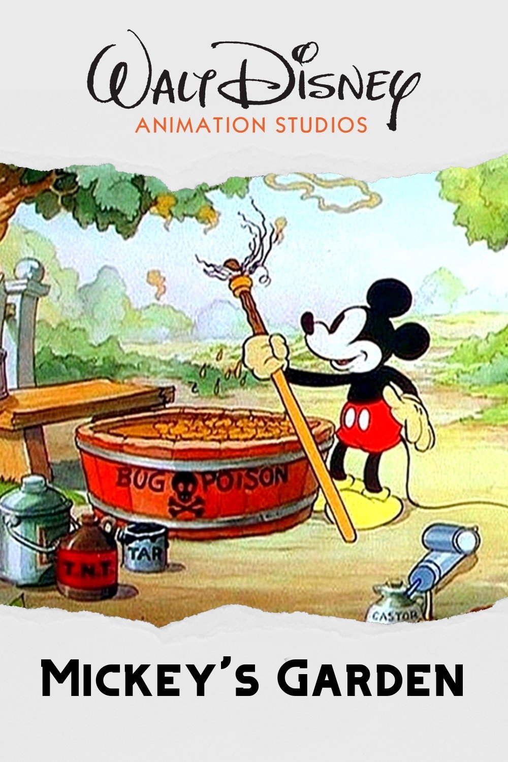 Mickey's Garden