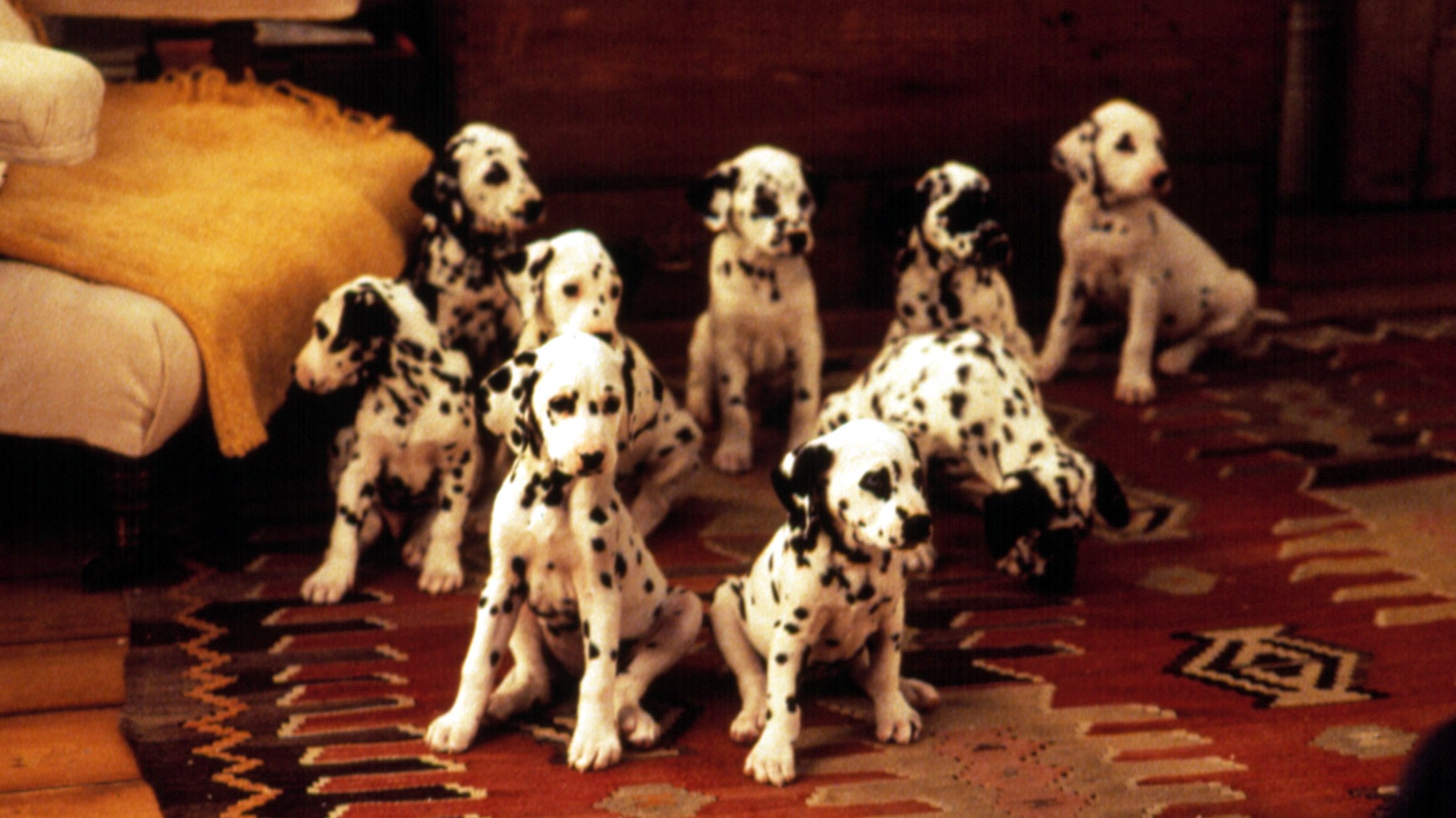 101 Dalmatians