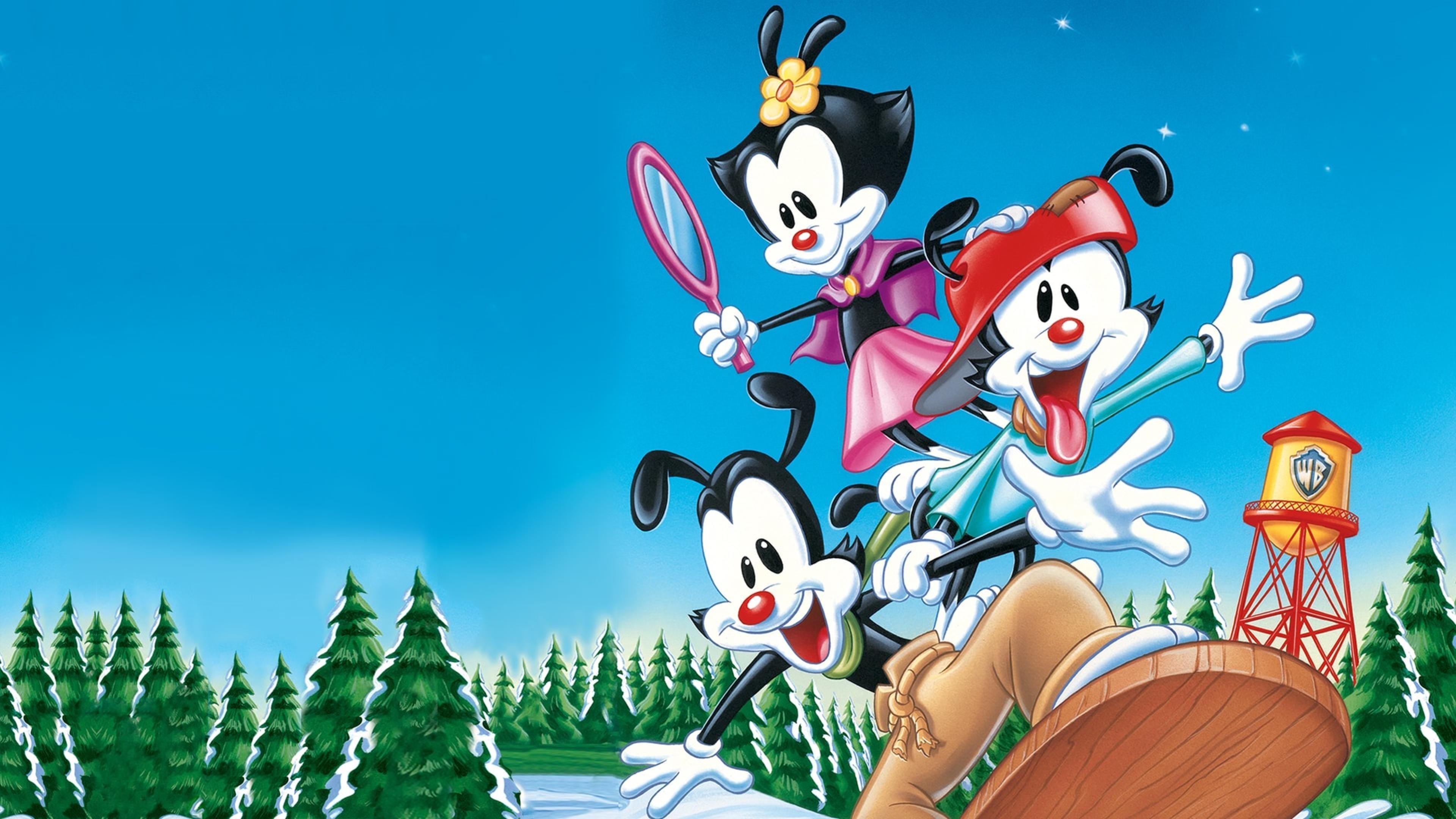 Animaniacs: Wakko's Wish