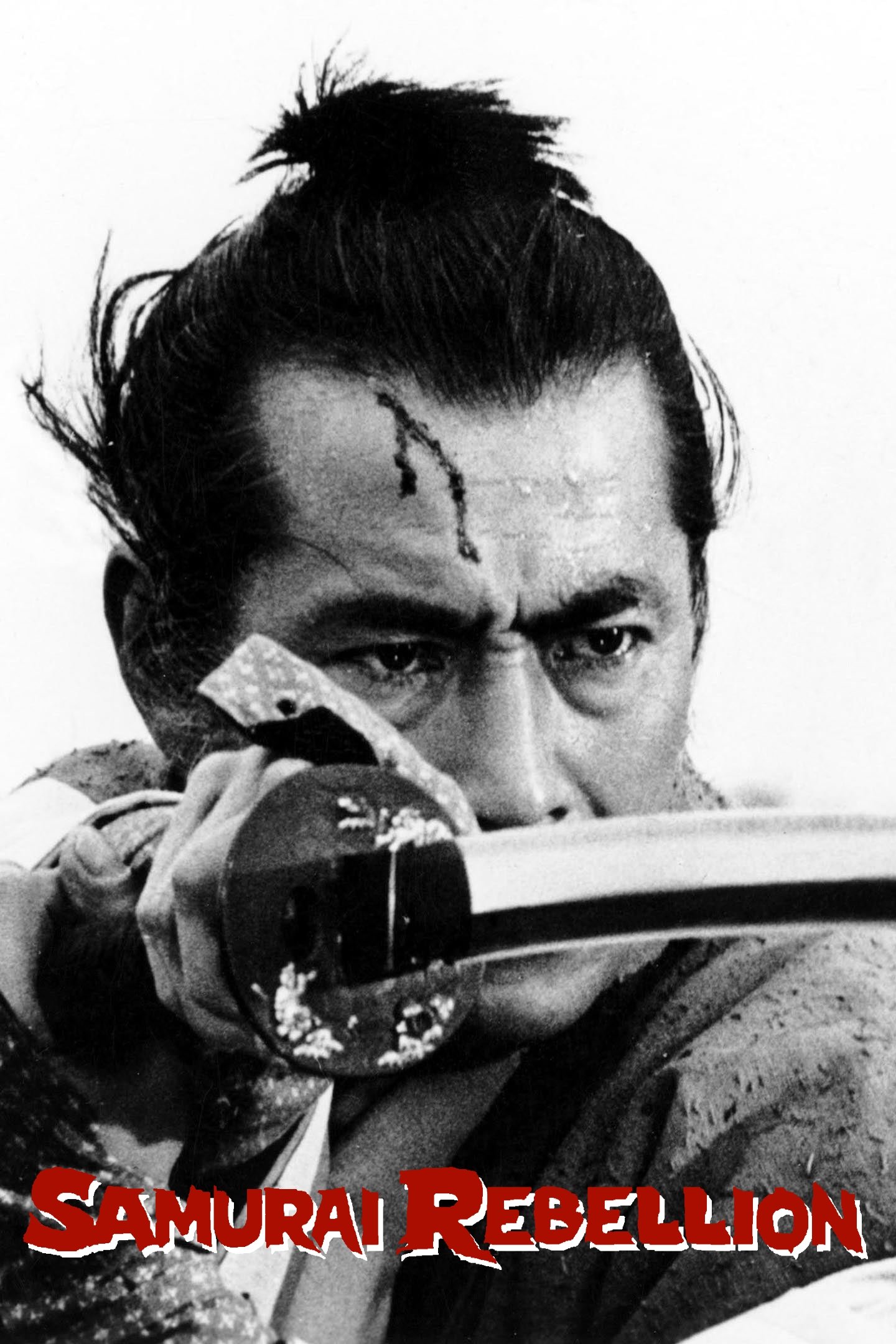 Samurai Rebellion