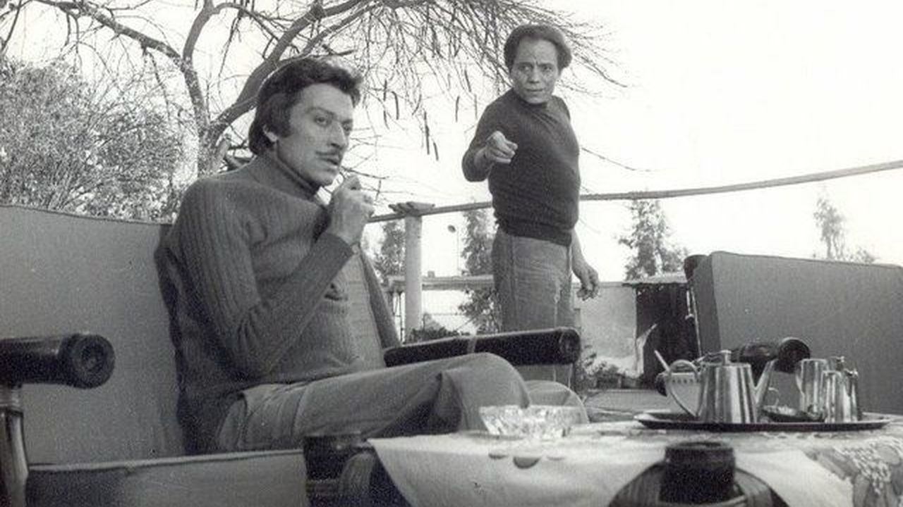 We Only Live Once (1981)
