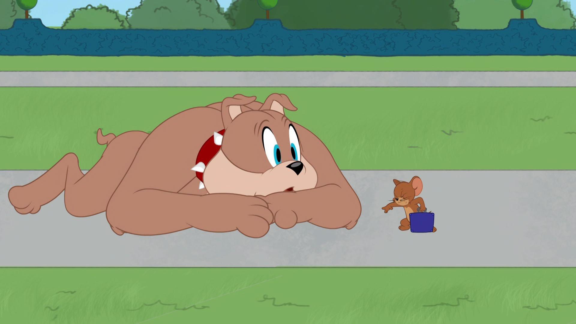 The Tom and Jerry Show