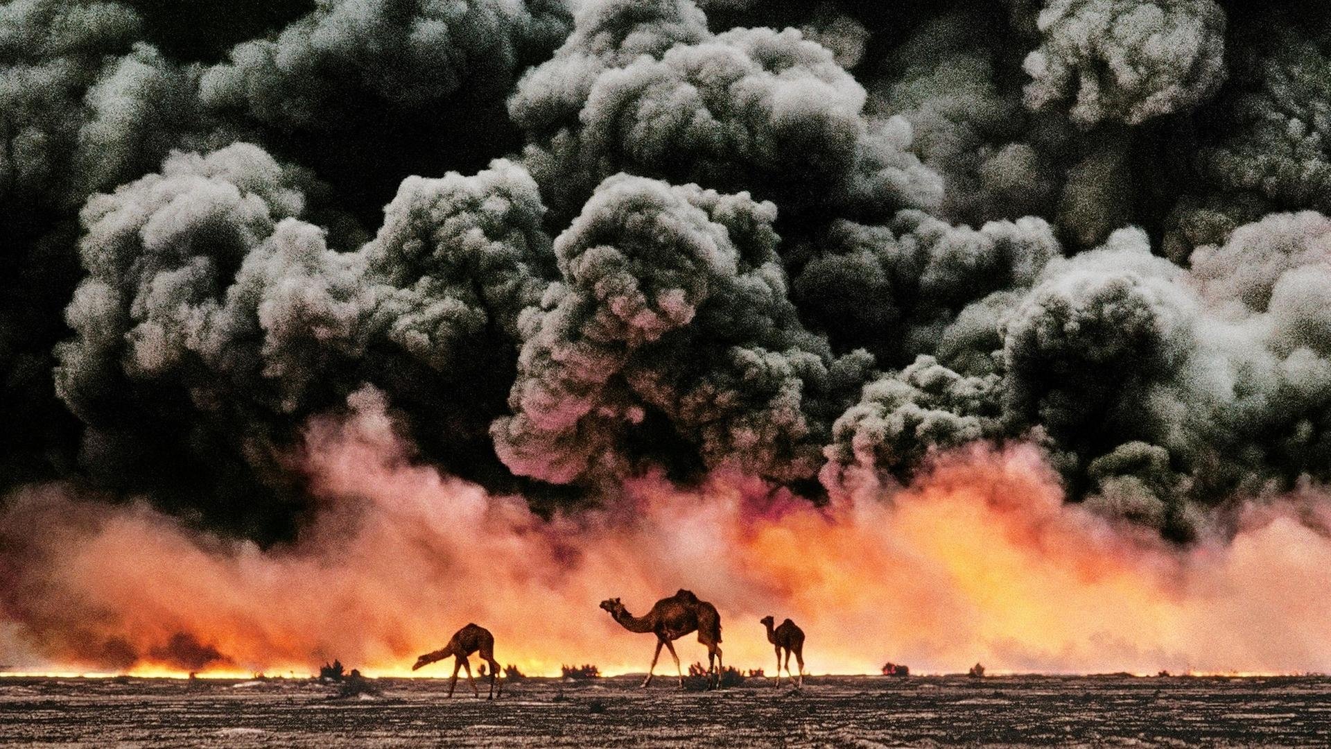 McCurry: The Pursuit of Colour