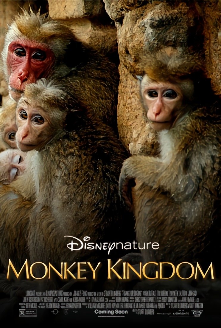 Monkey Kingdom