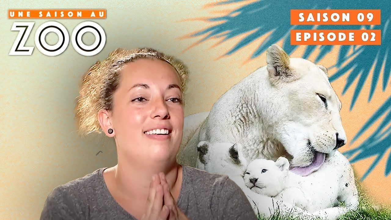 Une saison au zoo - Zoo de La Flèche : Retour sur les temps forts des premières saisons