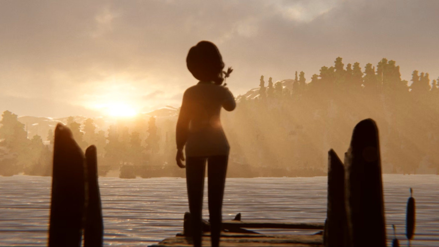 Where the Deer Sleep backdrop