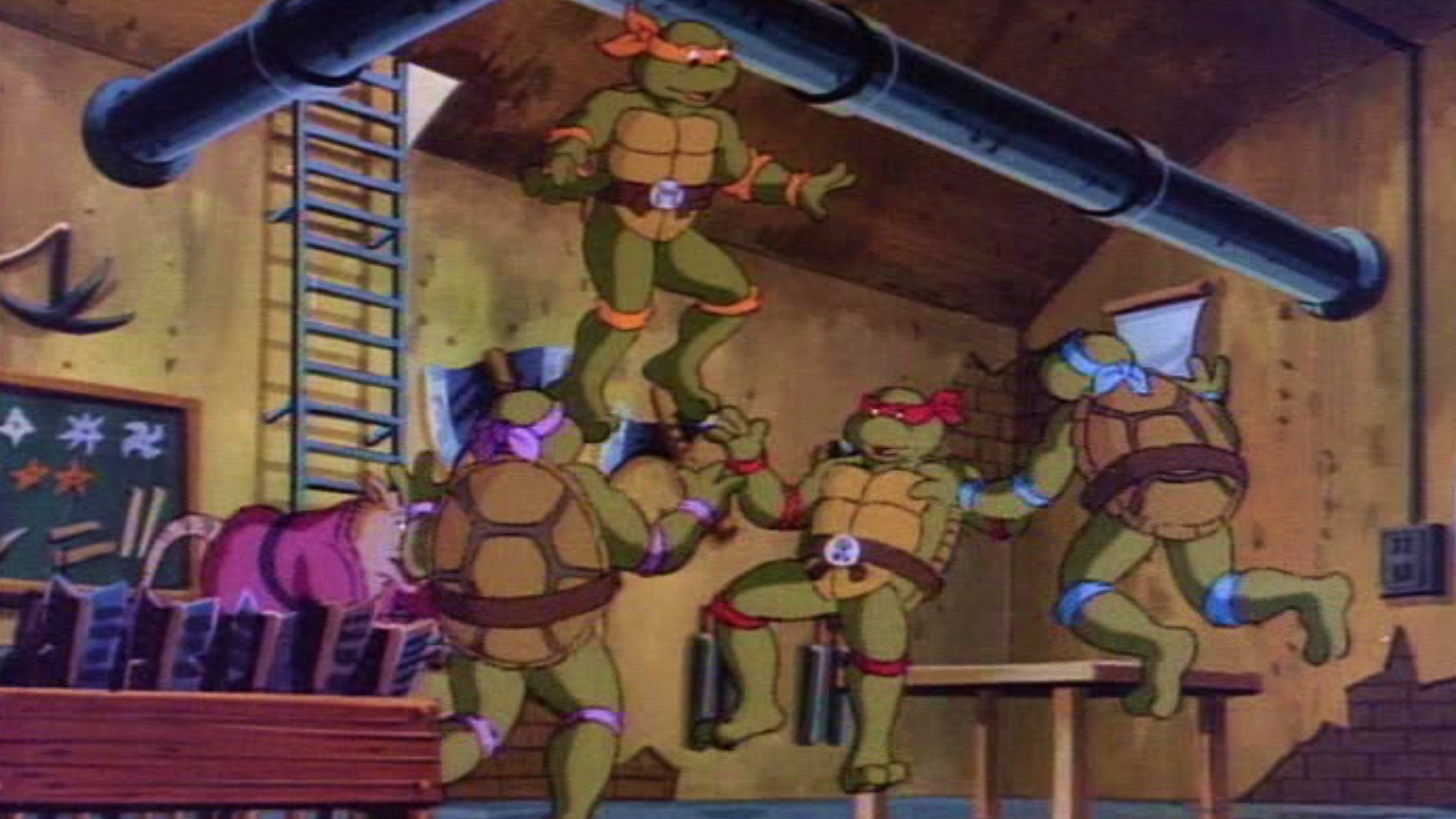Teenage Mutant Ninja Turtles