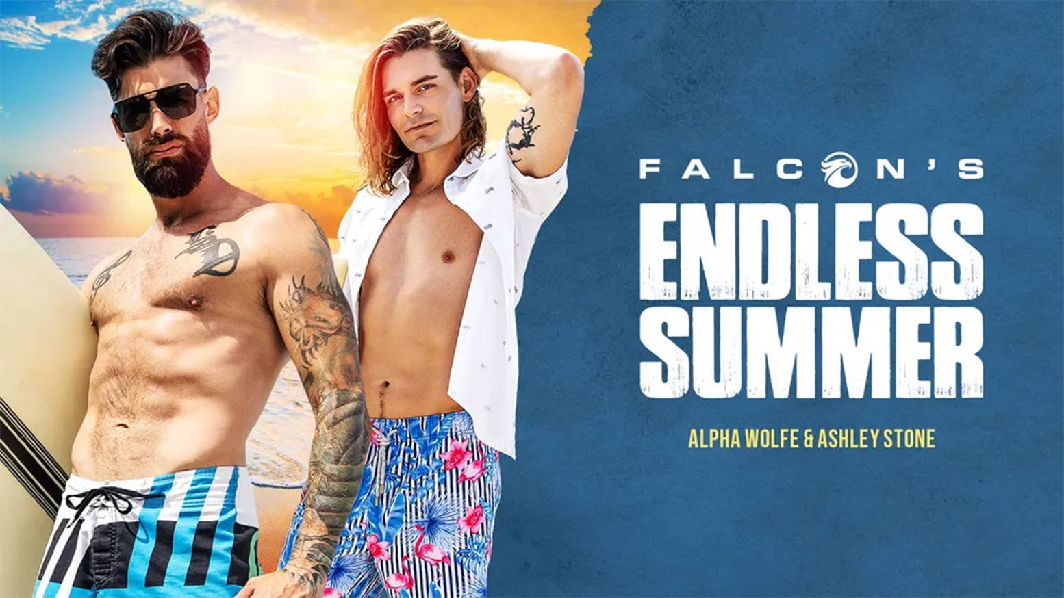 Falcon's Endless Summer