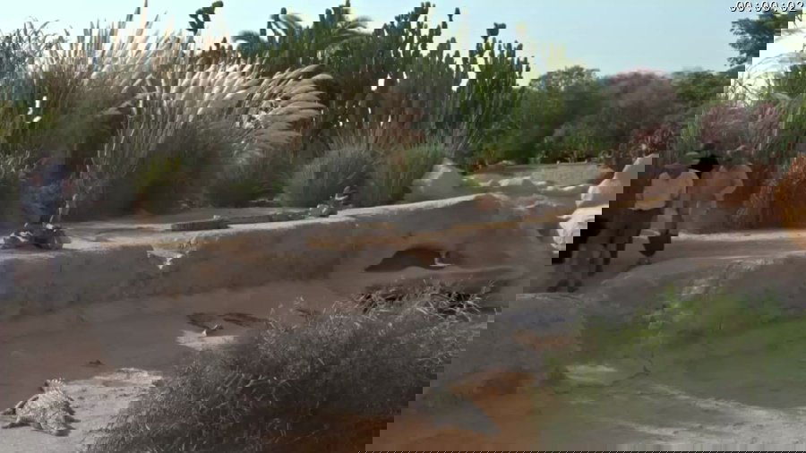 Thumbnail for Episode 1 Season 1 Episode 1
