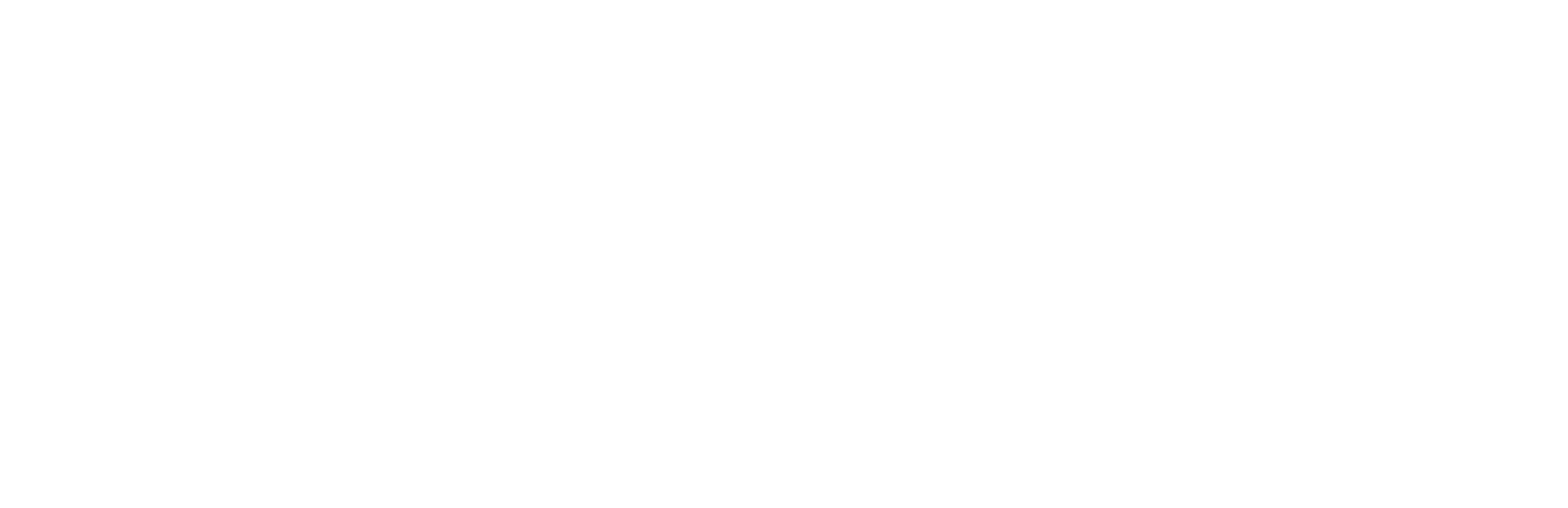 Waltz with Bashir Logo