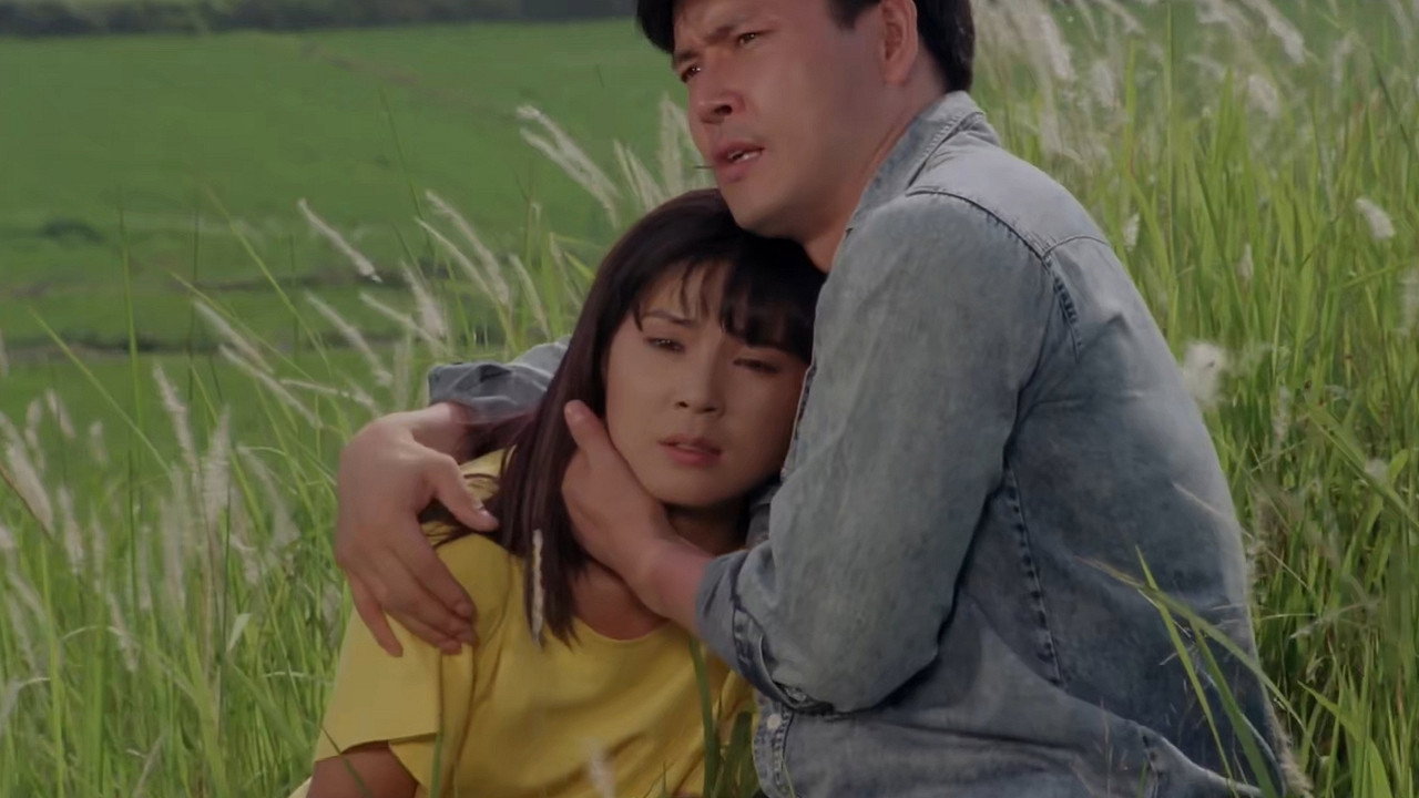 바람불면 일어서는 숲