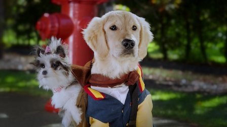 Pup Academy