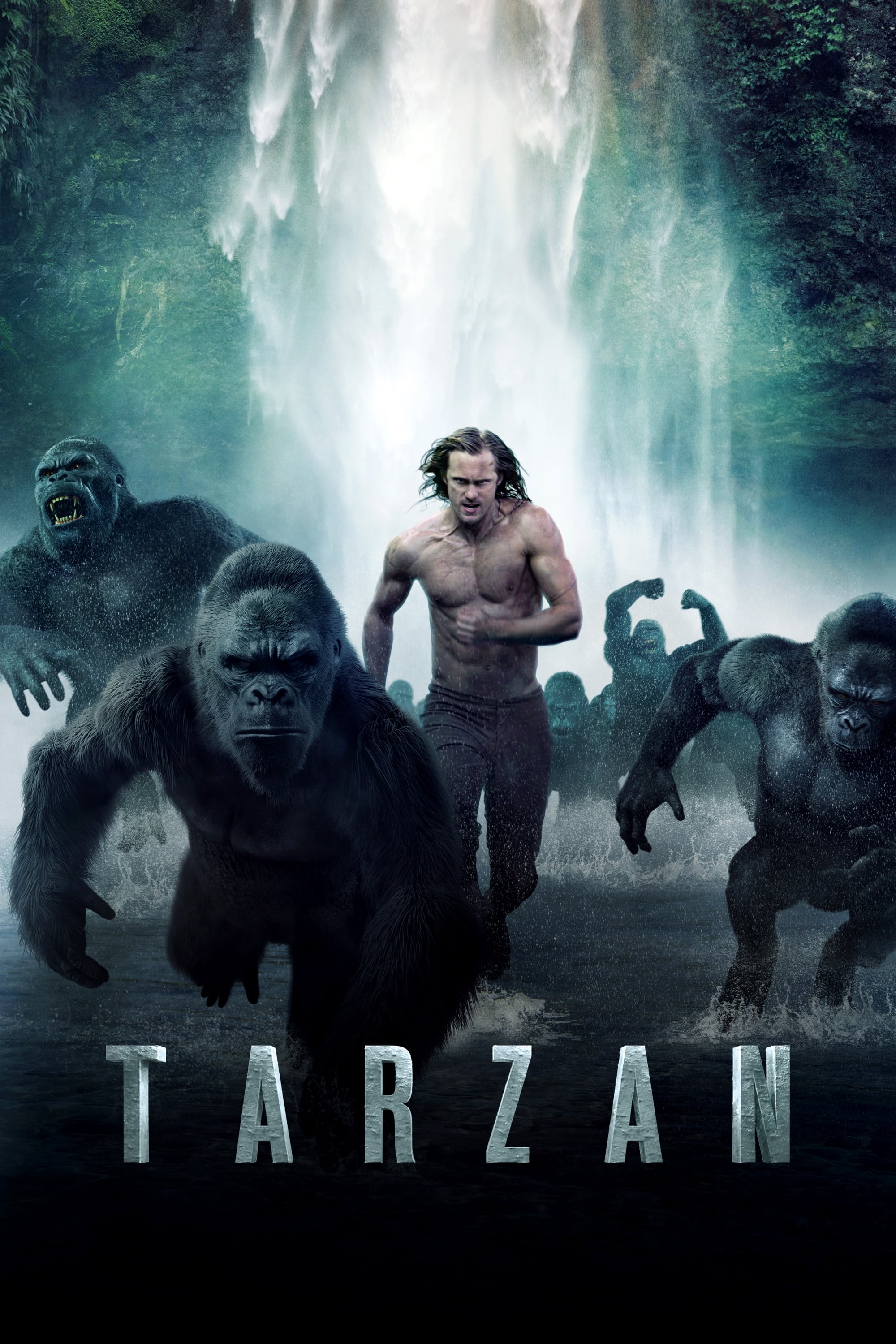 Affiche du film Tarzan 9884