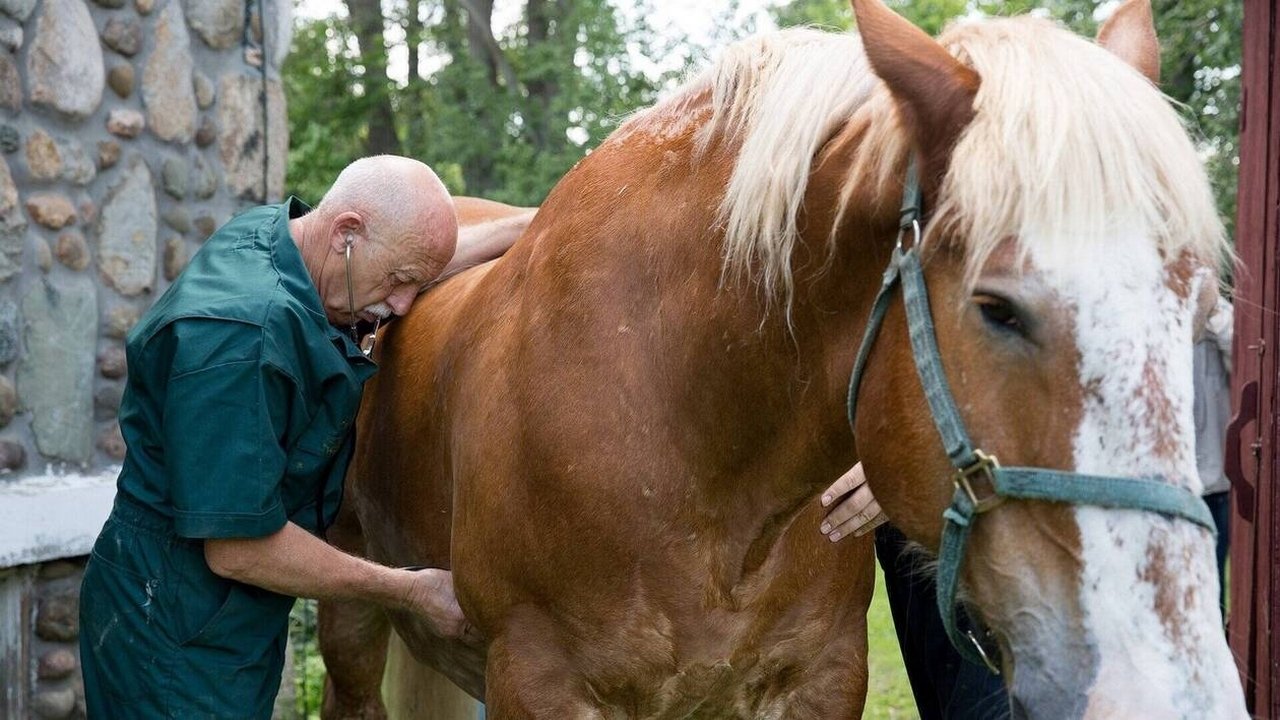 The Incredible Dr. Pol