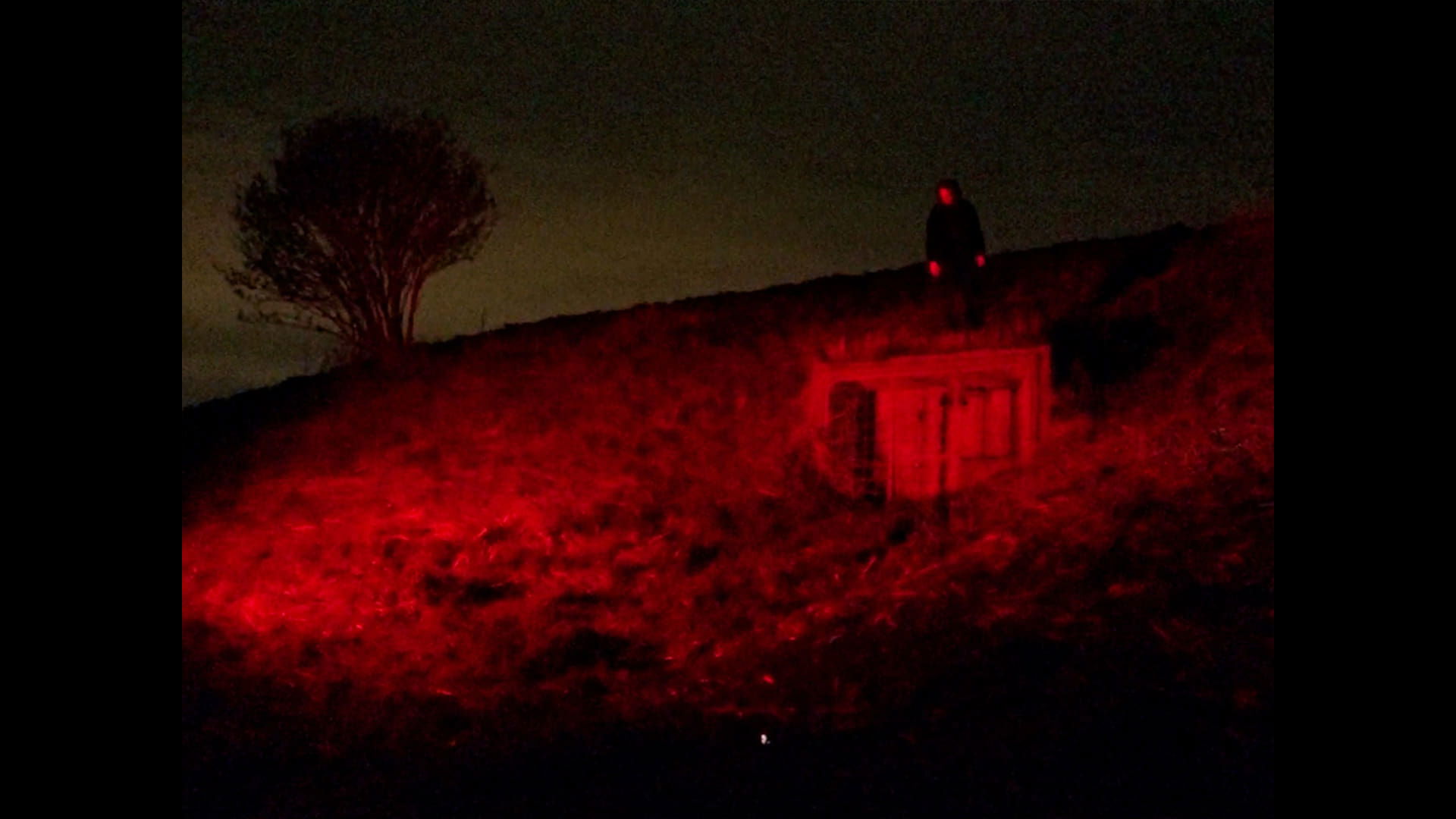 Imagem do Filme A Dream of Green