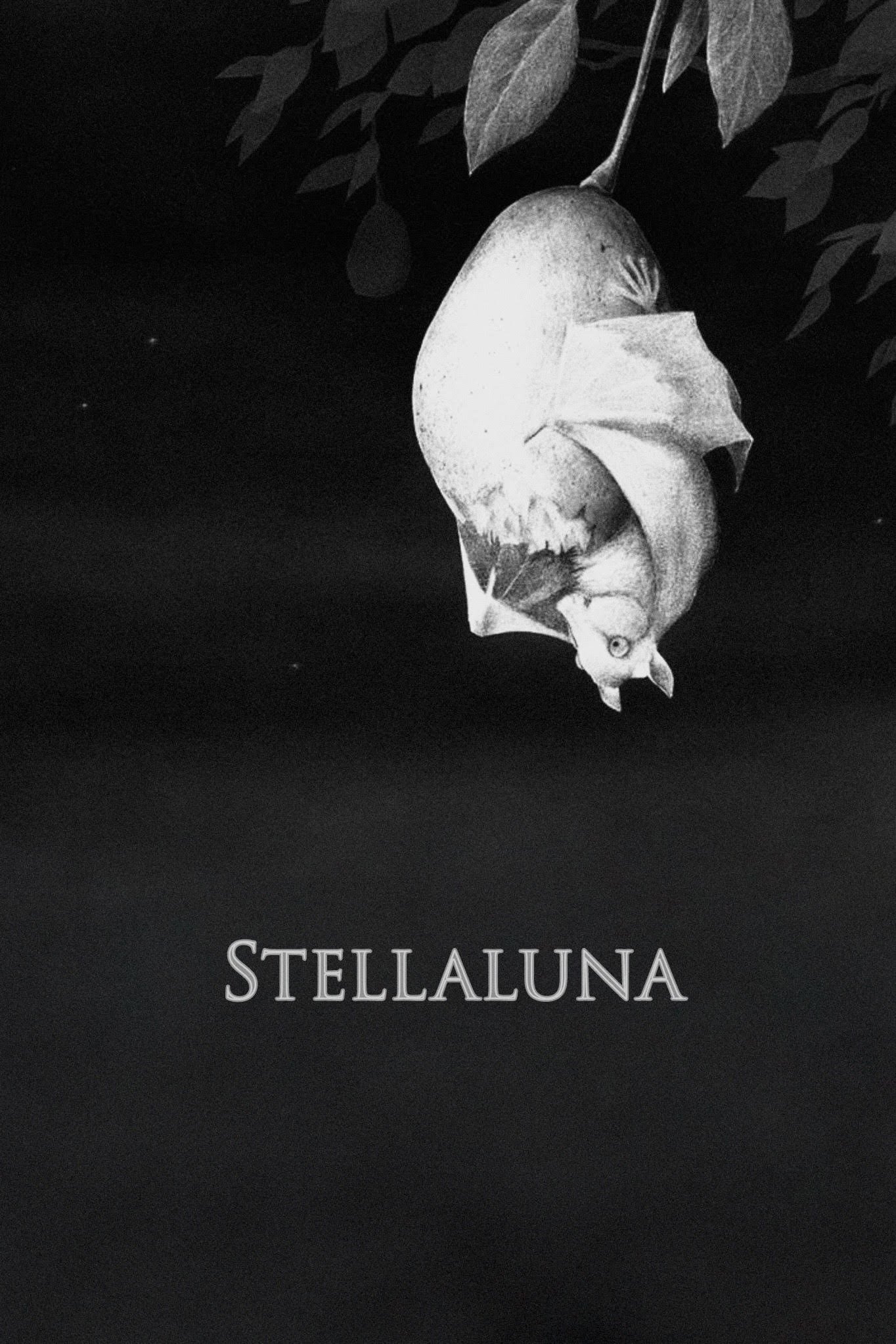 Stellaluna