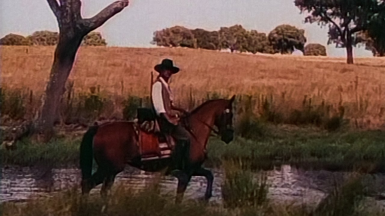 Alentejo Sem Lei