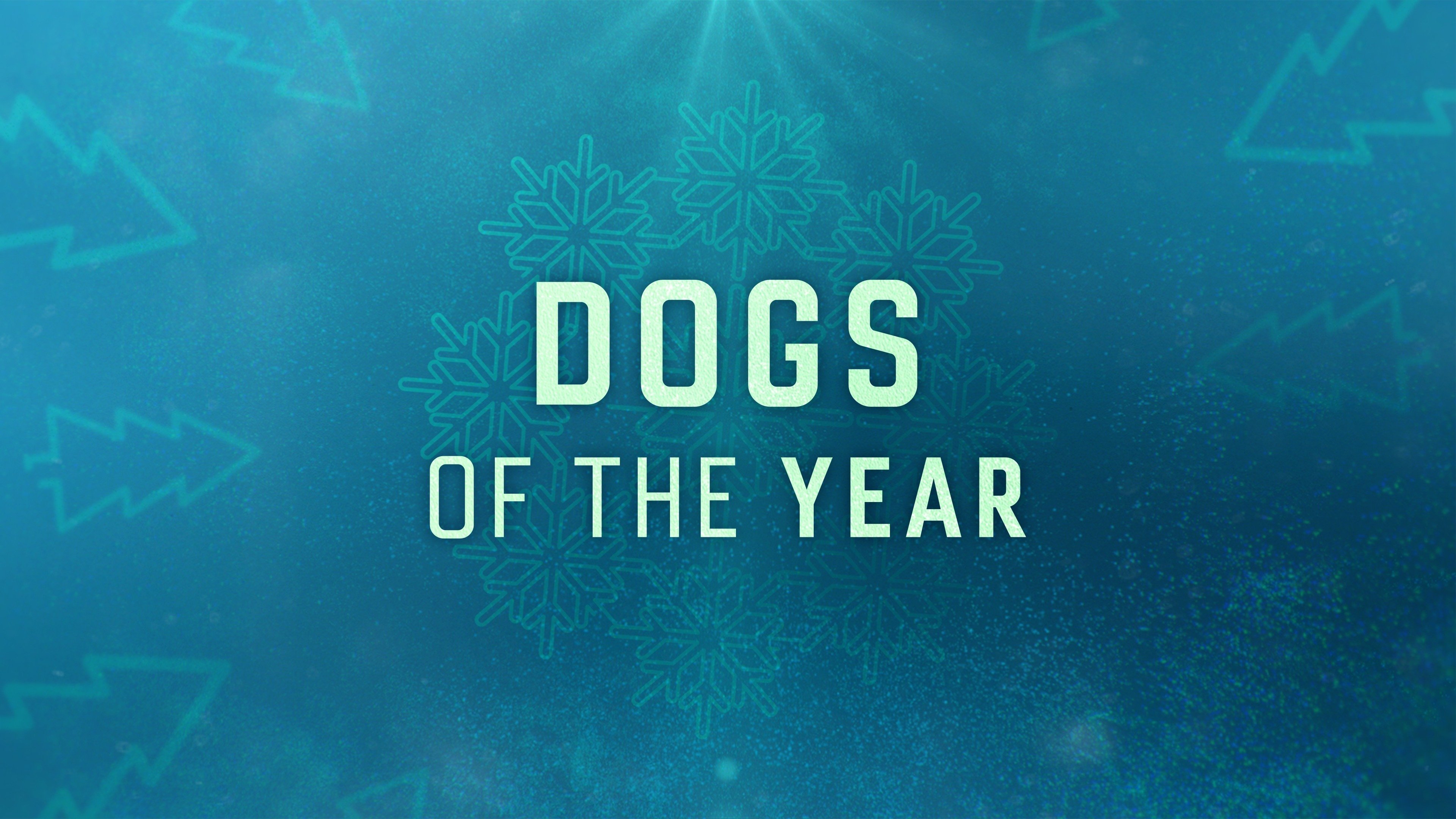 Dogs of the Year backdrop