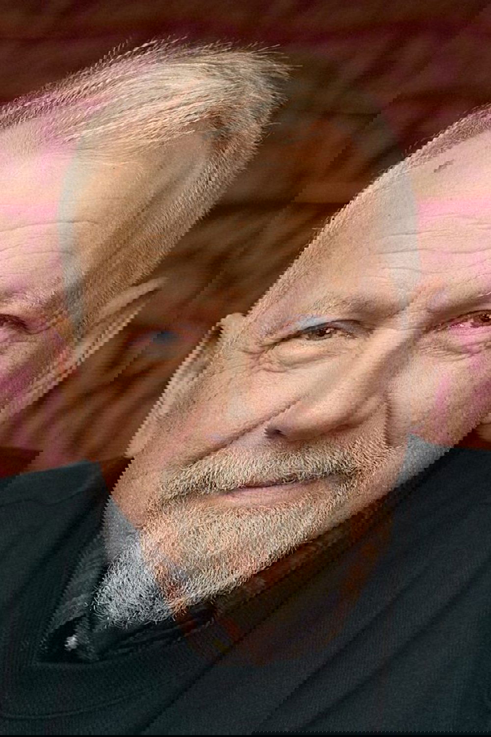 et billede af Pálmi Gestsson