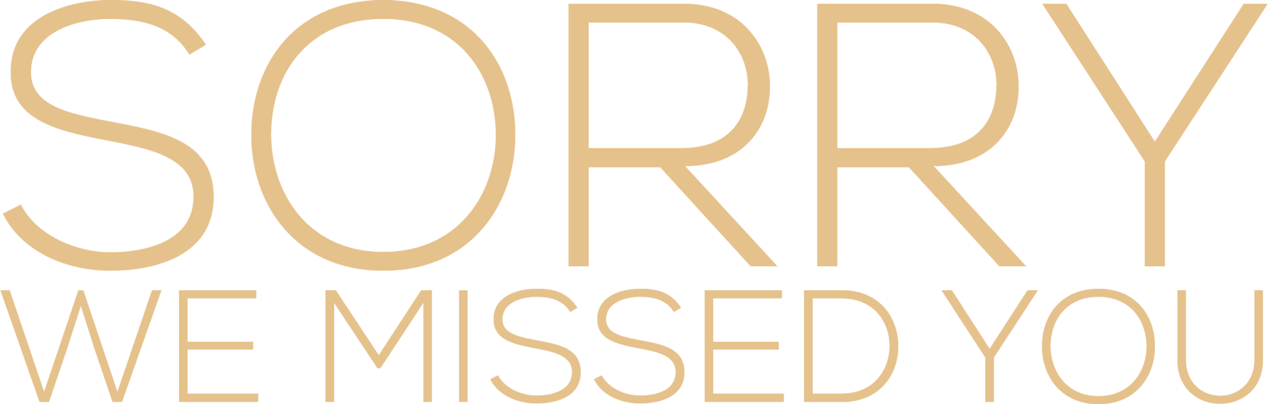 Sorry We Missed You Logo