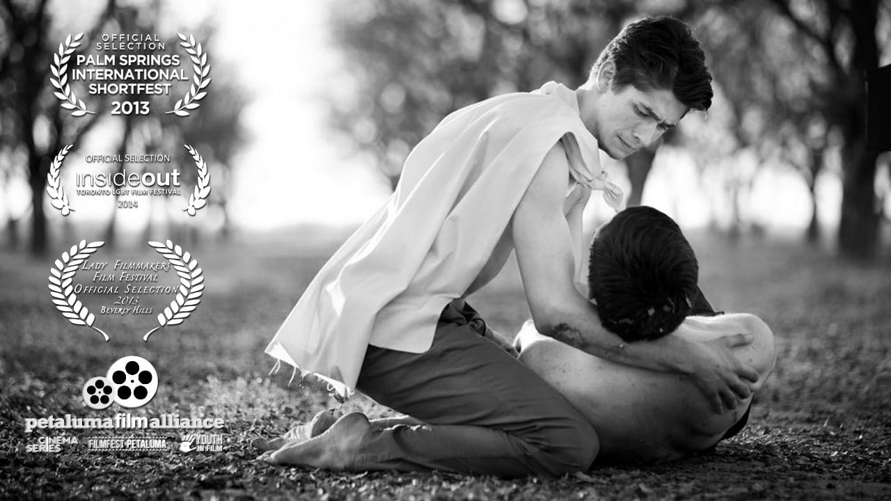 The Light (2013)