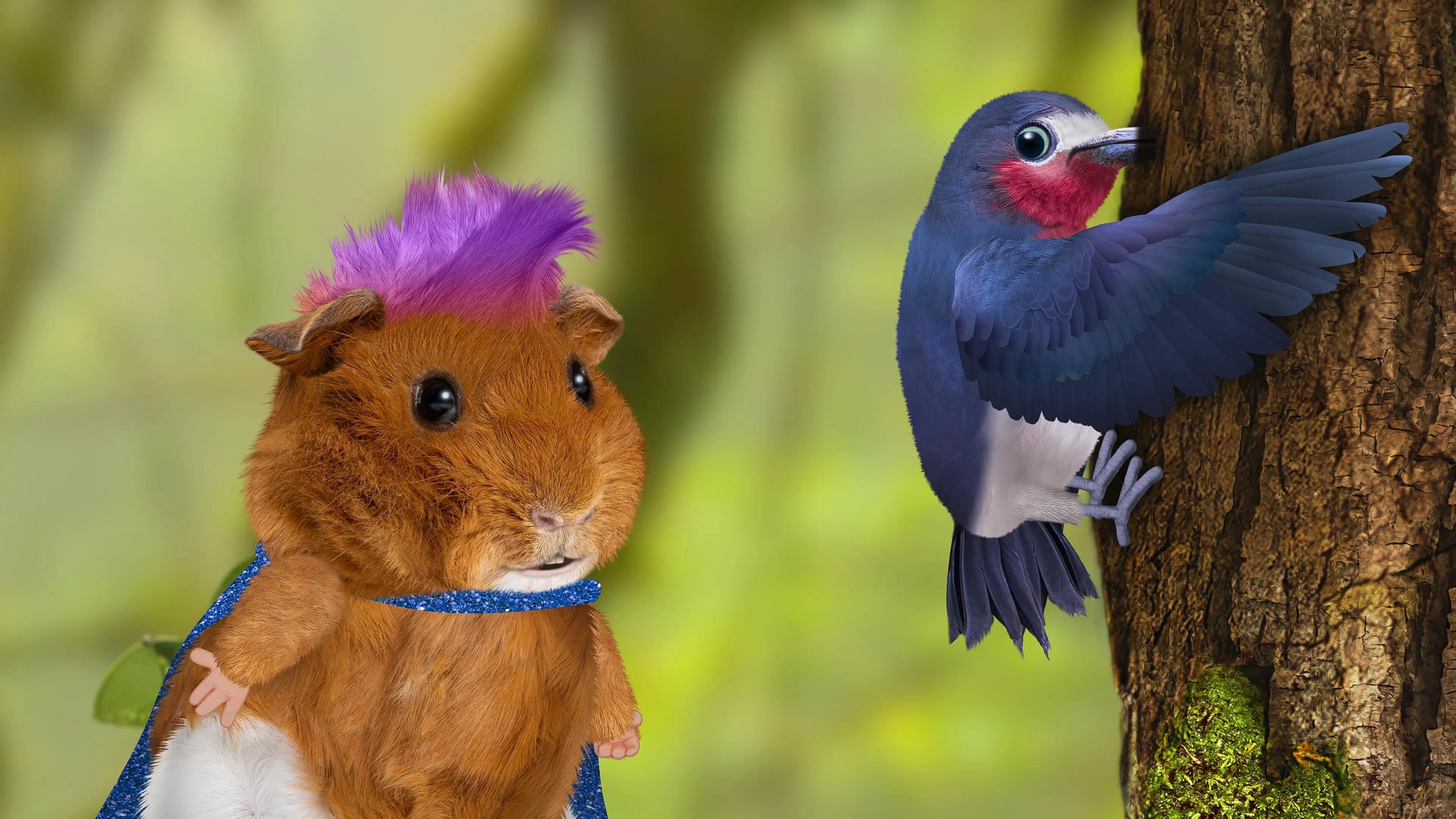 Thumbnail for Save the Woodpecker! / Save the Salmon! Season 1 Episode 3