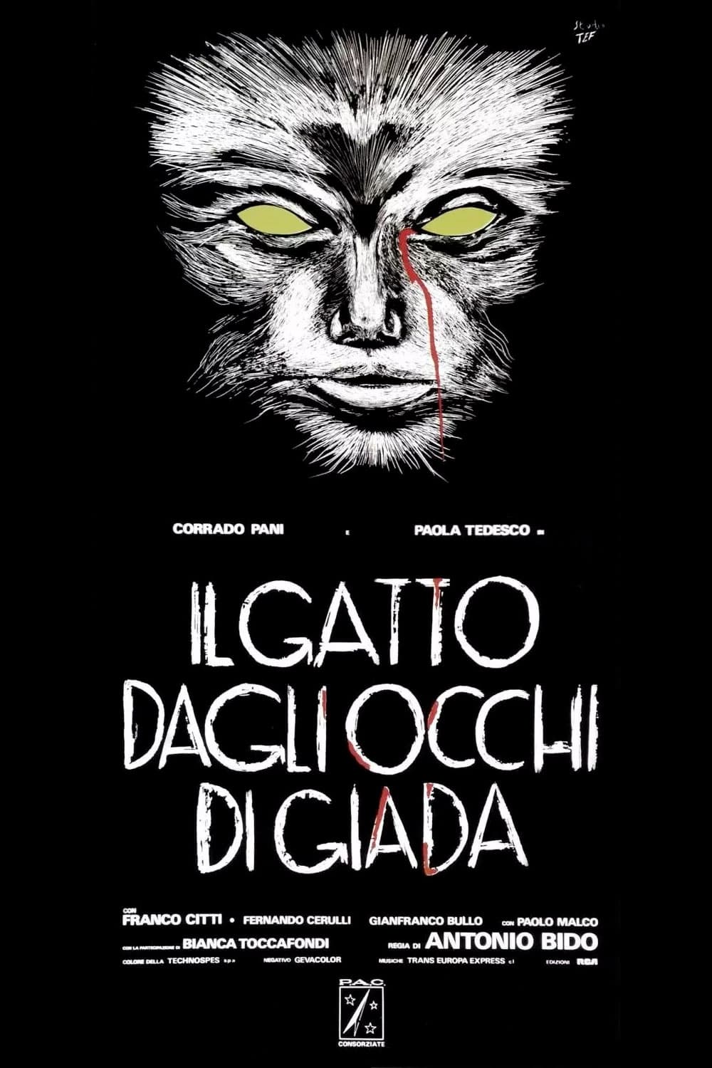 Il gatto dagli occhi di giada streaming