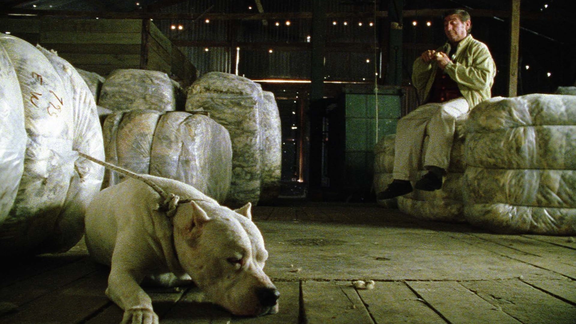 El perro (2004)