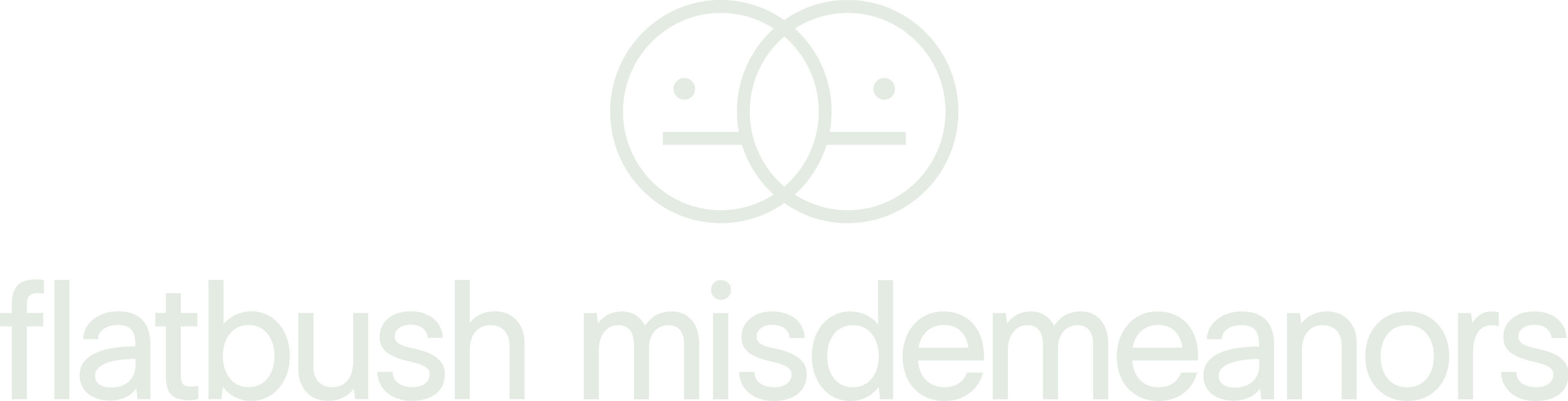 Flatbush Misdemeanors