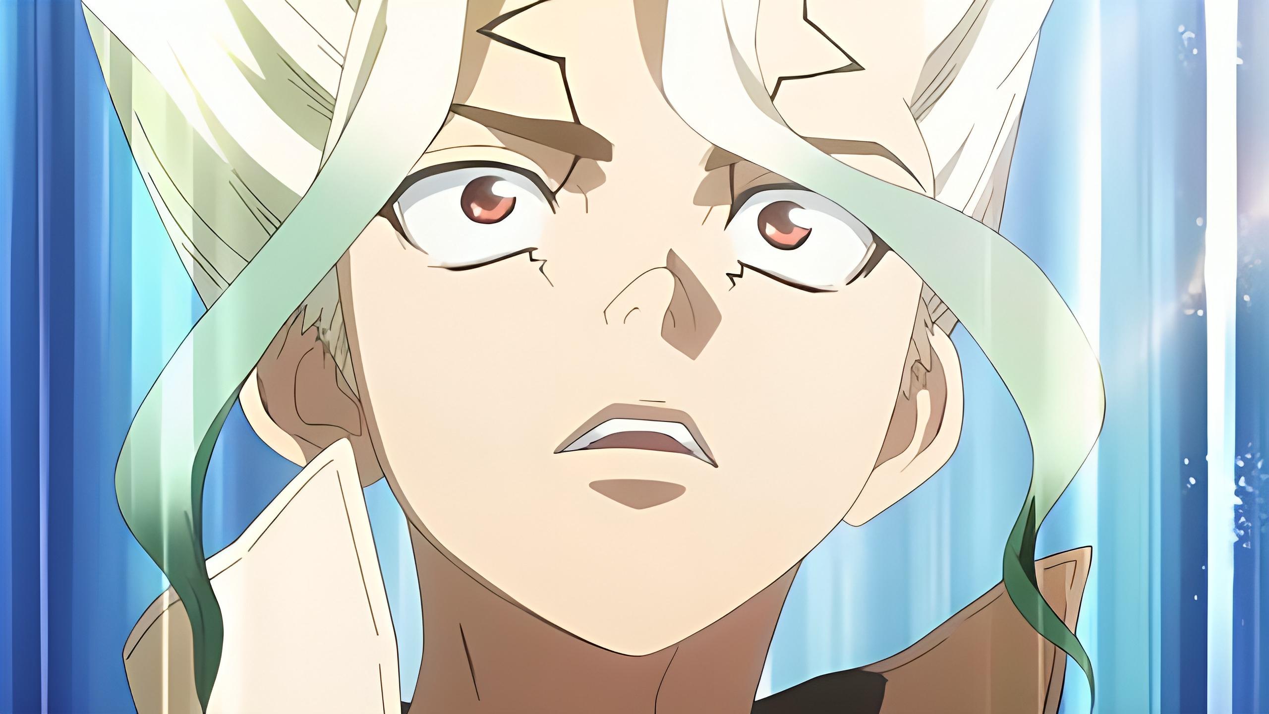 Dr. STONE