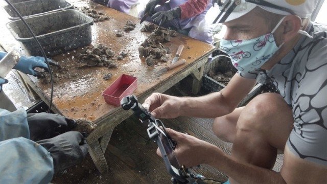 Cycle Around Japan - Épisode 4