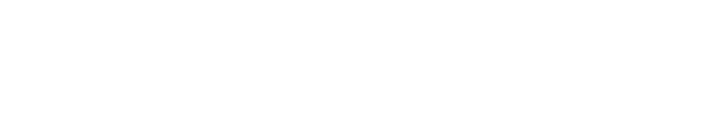 Einstein and the Bomb Logo
