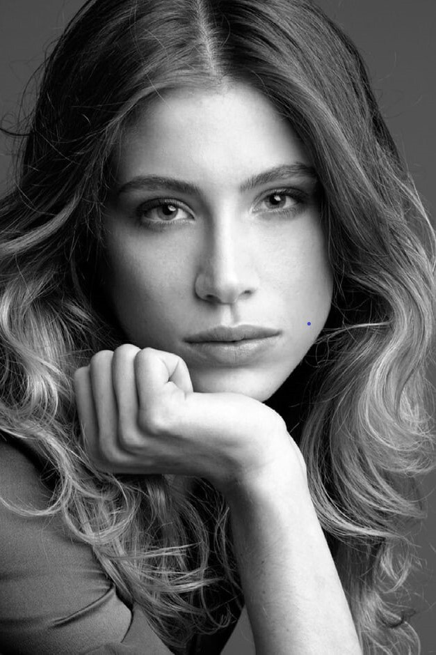 et billede af Marie de Villepin