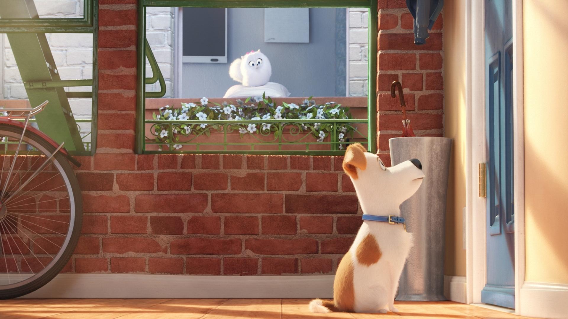 The Secret Life of Pets (2016)