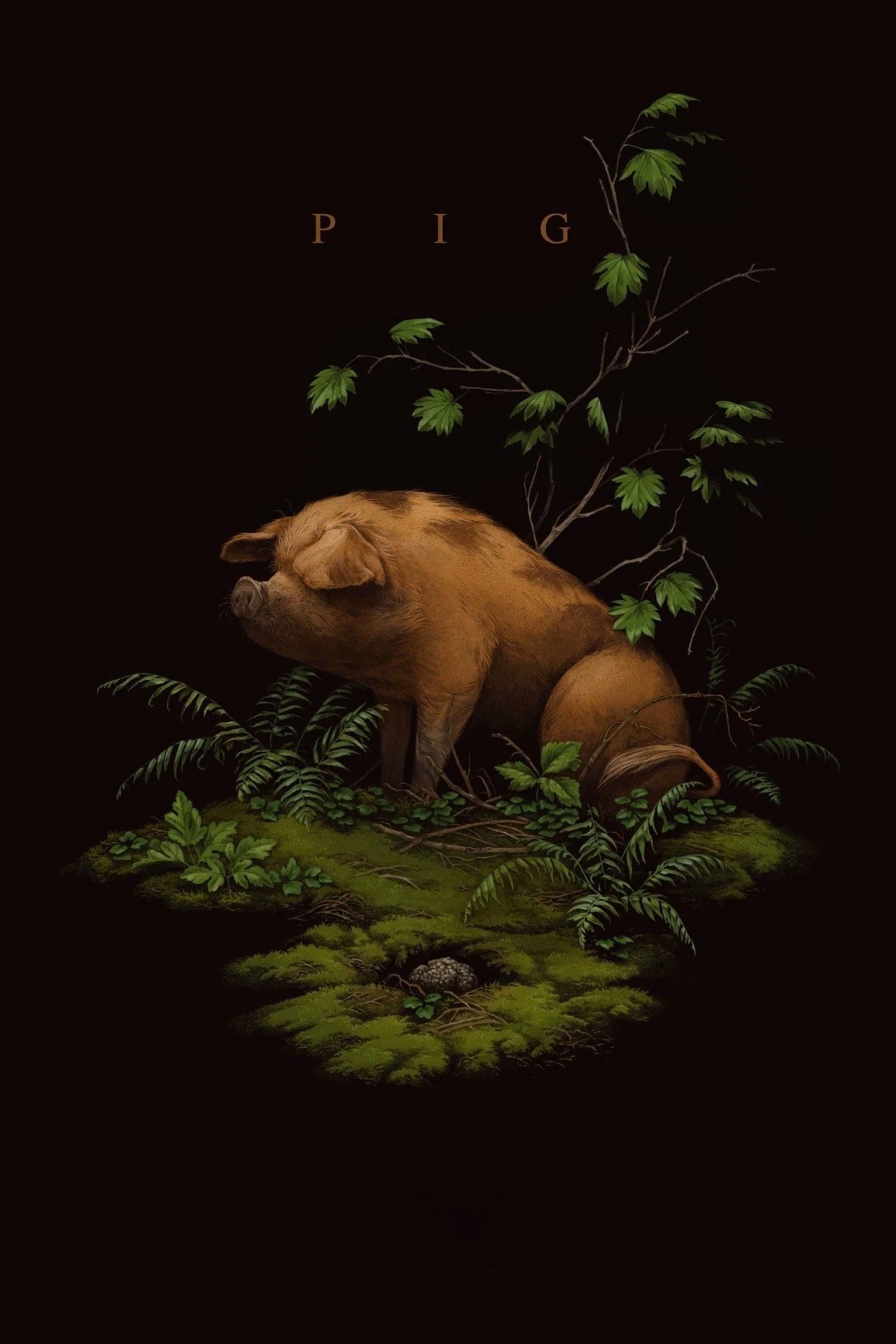 Pig