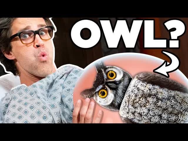 Good Mythical Morning