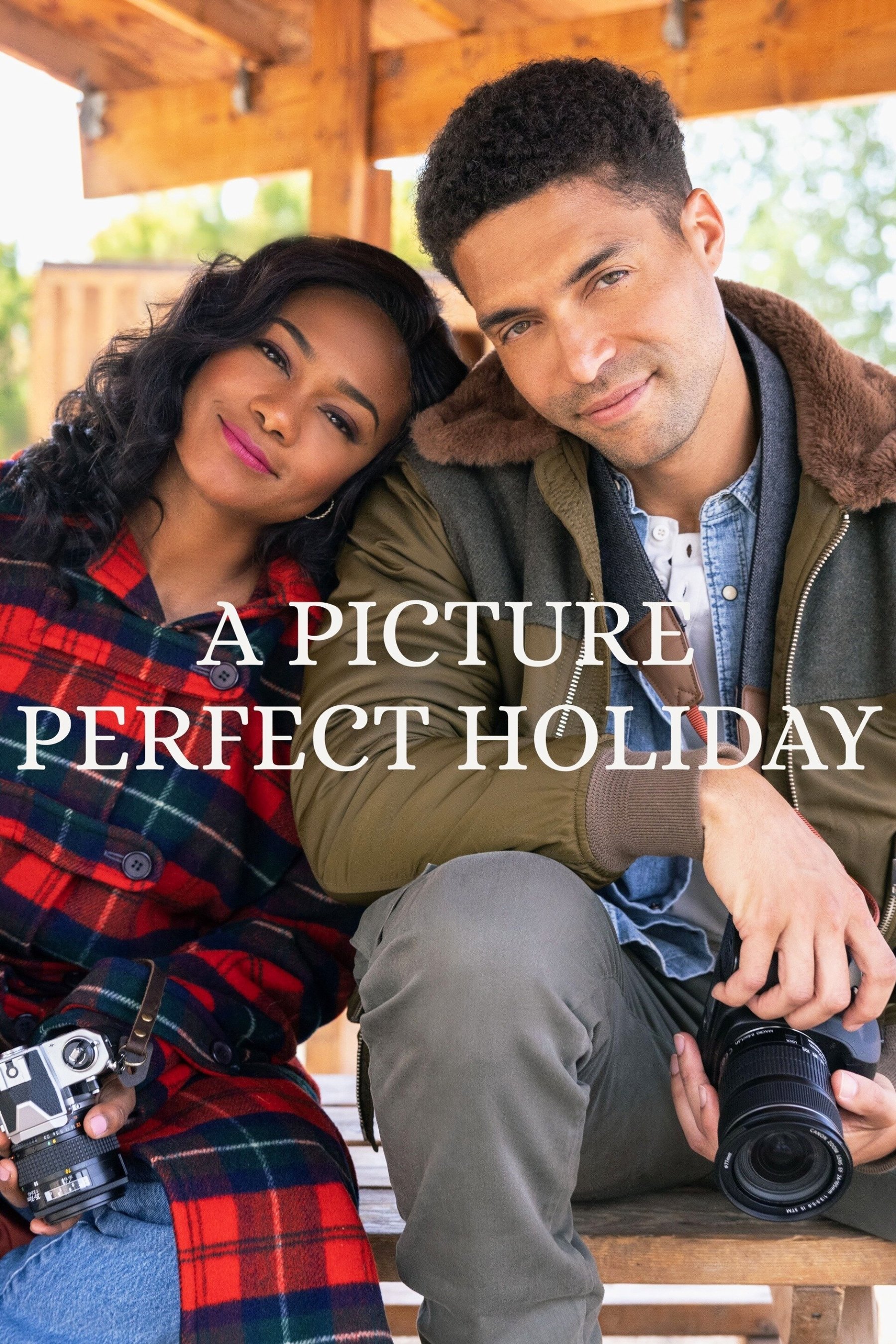 A Picture Perfect Holiday
