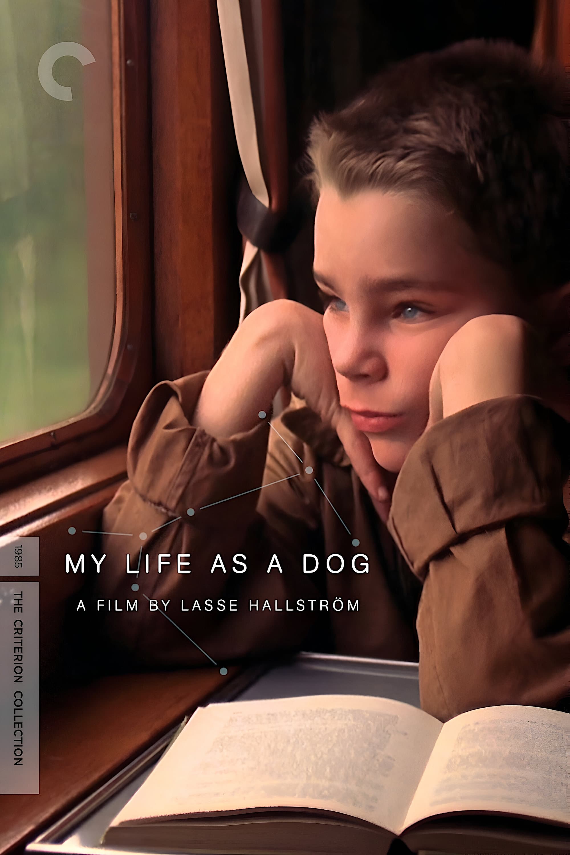 My Life as a Dog