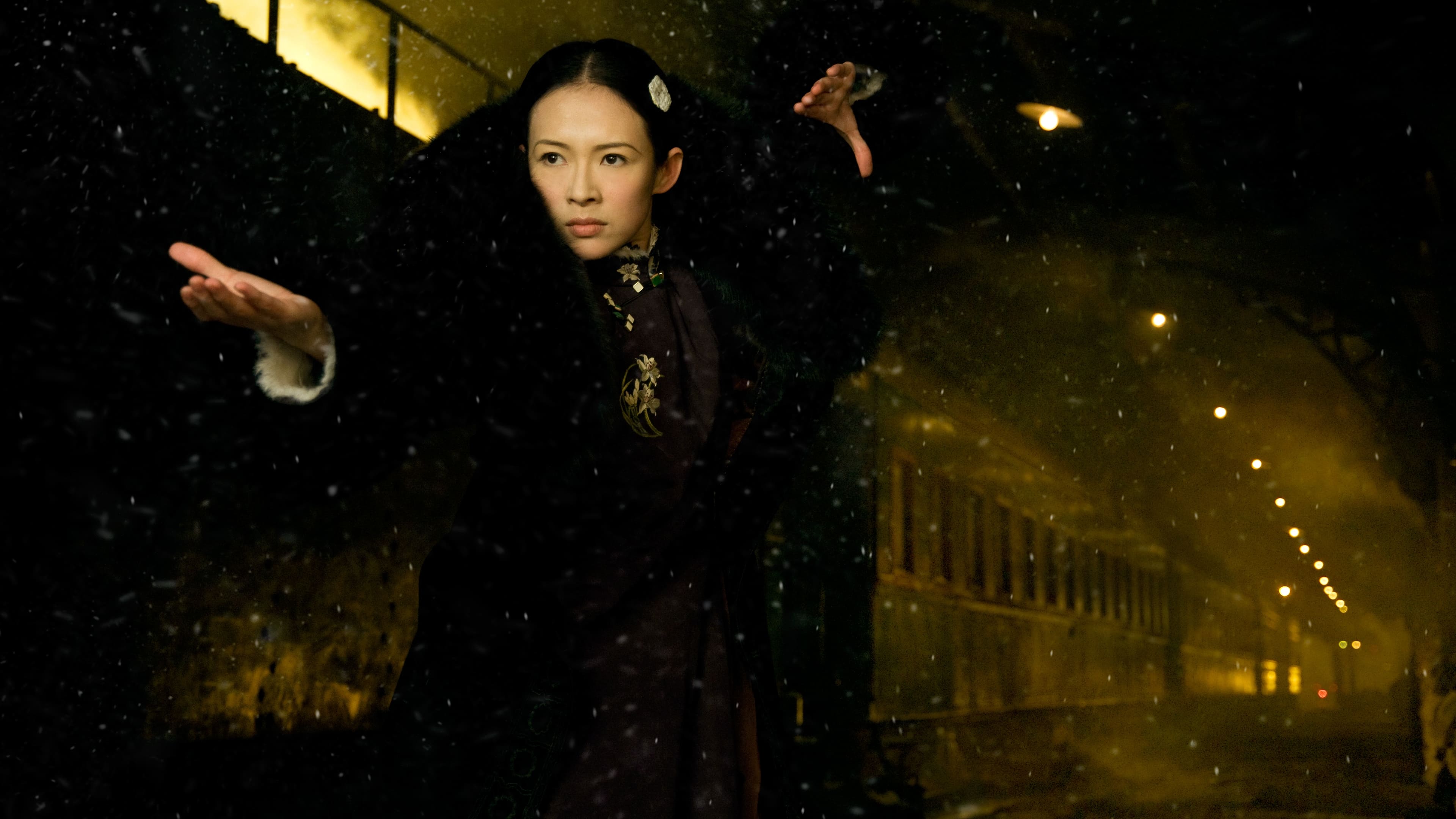 The Grandmaster (2013)