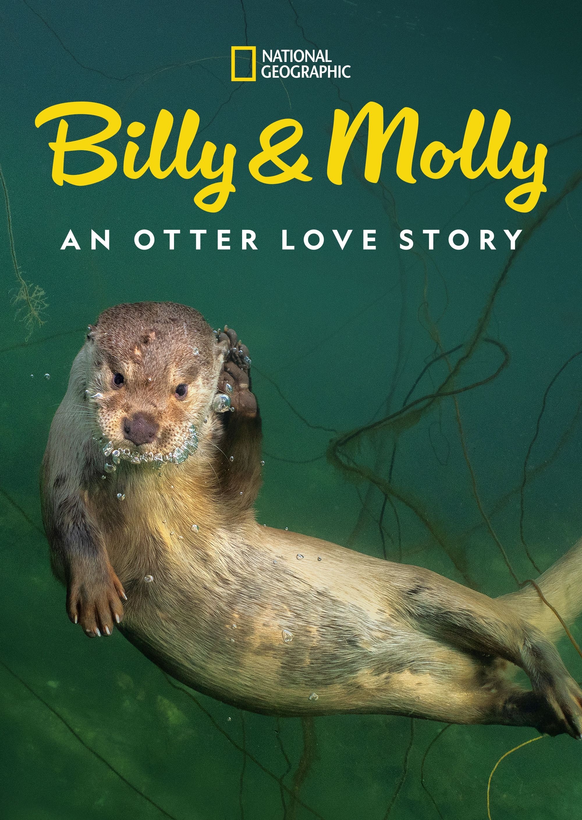 Billy & Molly: An Otter Love Story