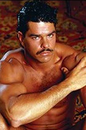 et billede af Studs Toro