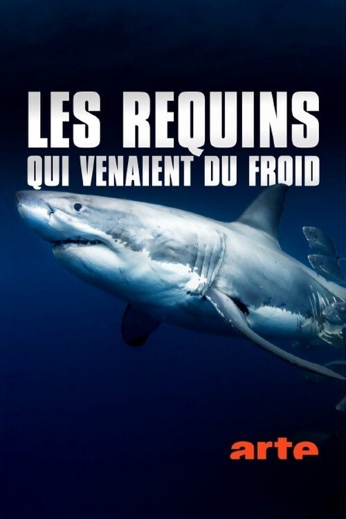 Movie Title