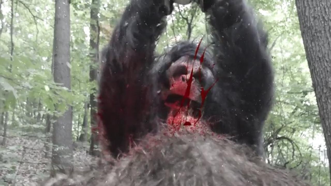 Frozen Sasquatch (2018)
