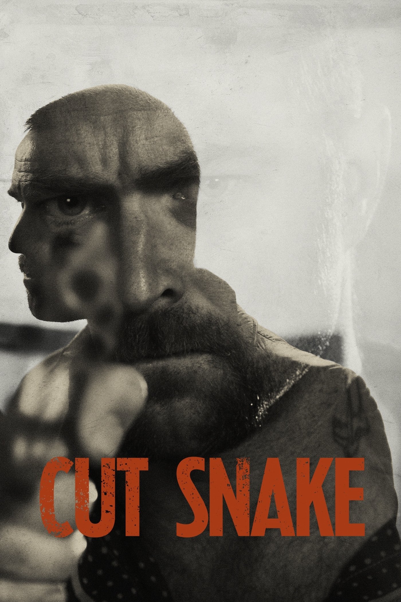 Cut Snake