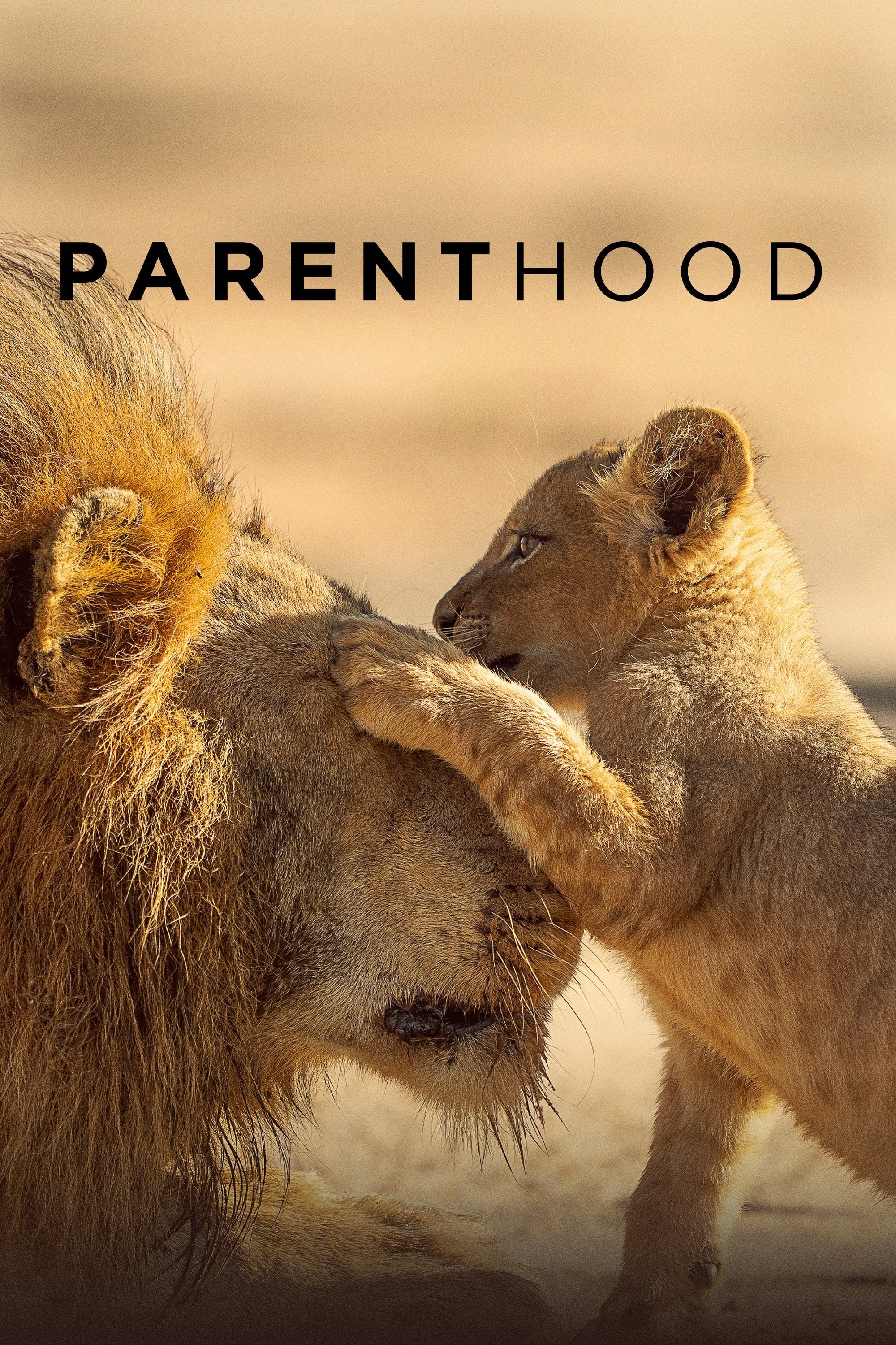 Parenthood - Season 1