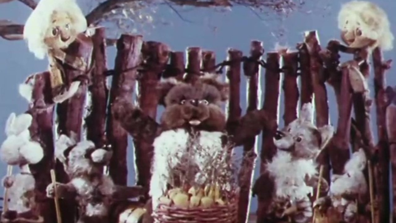 Teddy Bear Buthuz