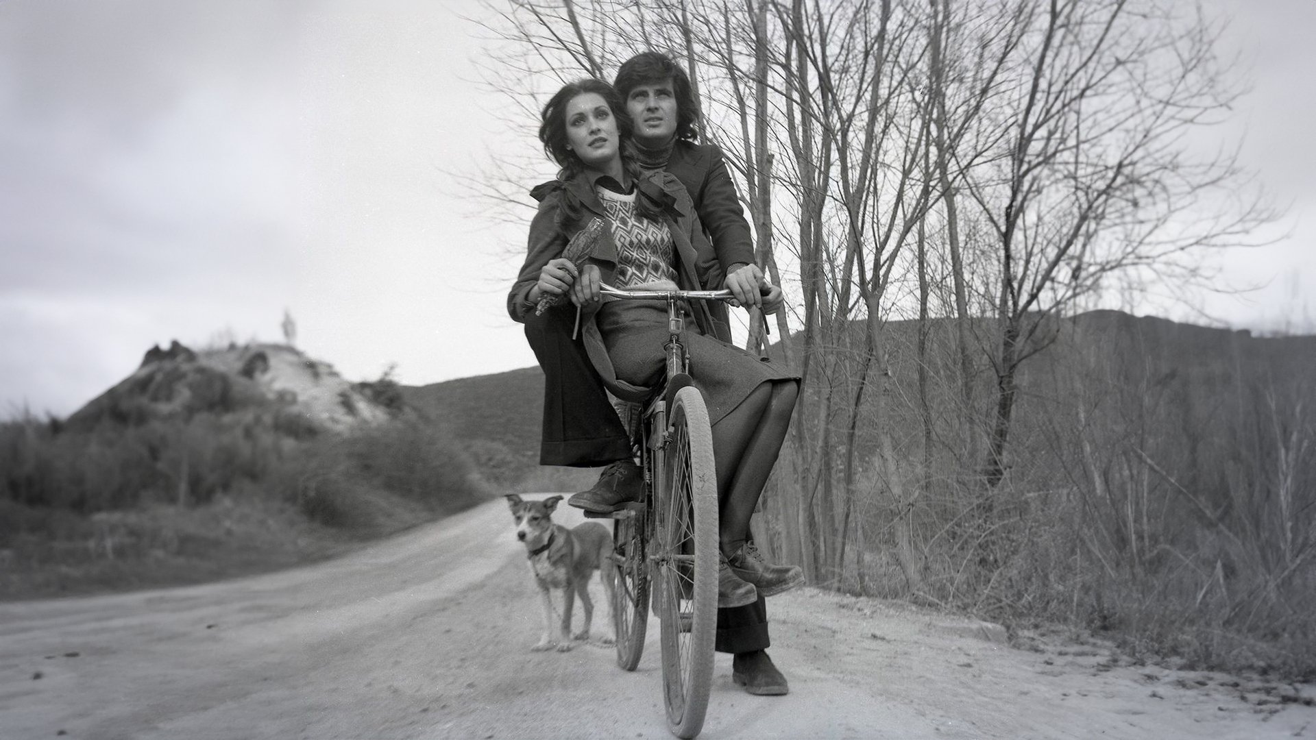 Delisin (1975)