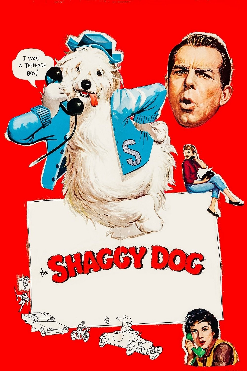 The Shaggy Dog