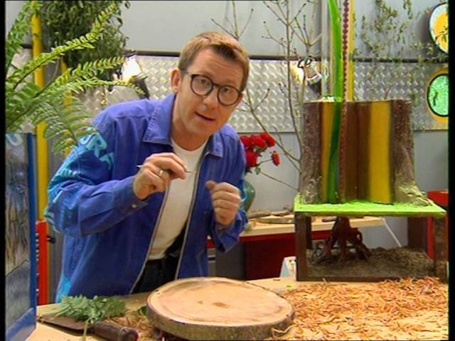 C'est pas sorcier - La forêt enchantée, ça vous branche ?