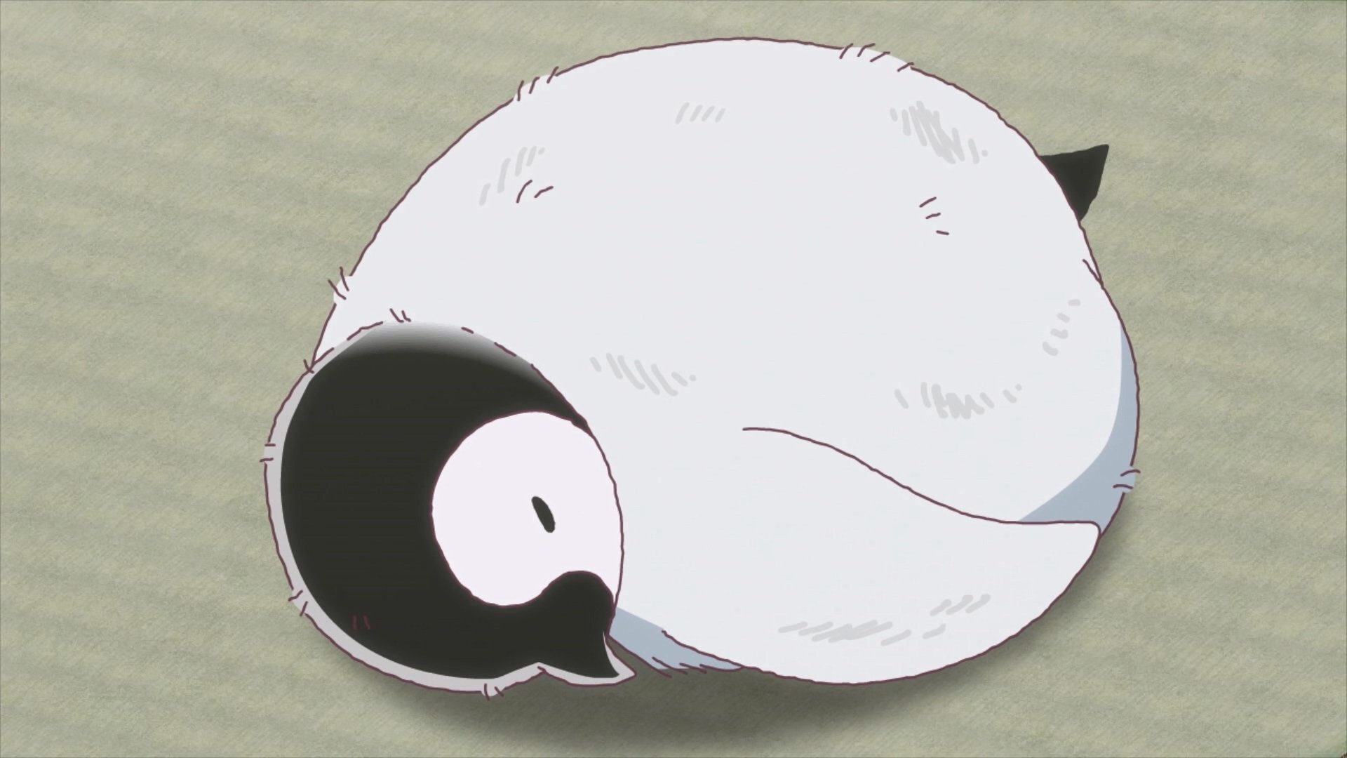 おこしやす、ちとせちゃん - Épisode 14